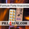 Anaconda Strong Formula 41